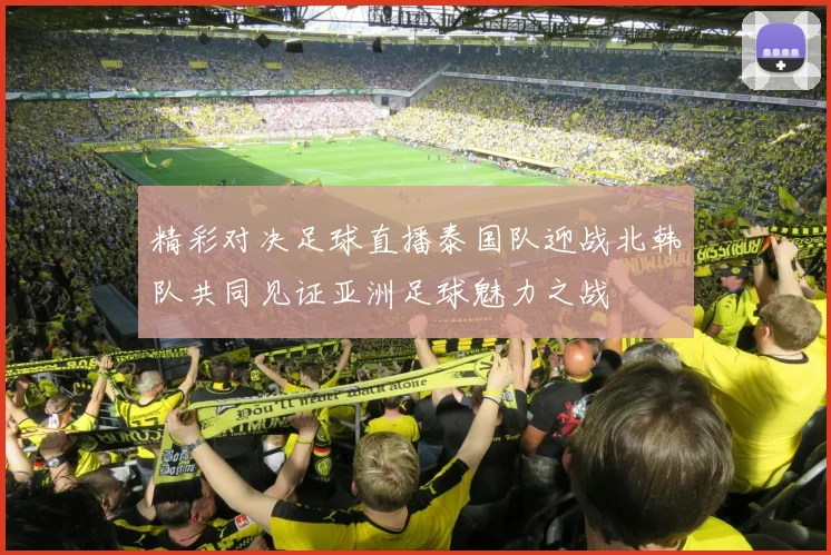 精彩对决足球直播泰国队迎战北韩队共同见证亚洲足球魅力之战