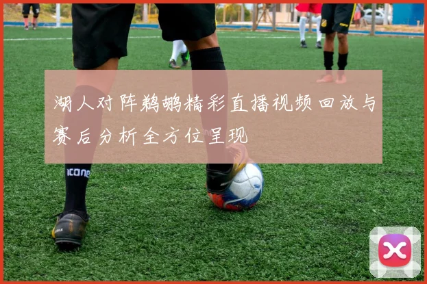 湖人对阵鹈鹕精彩直播视频回放与赛后分析全方位呈现