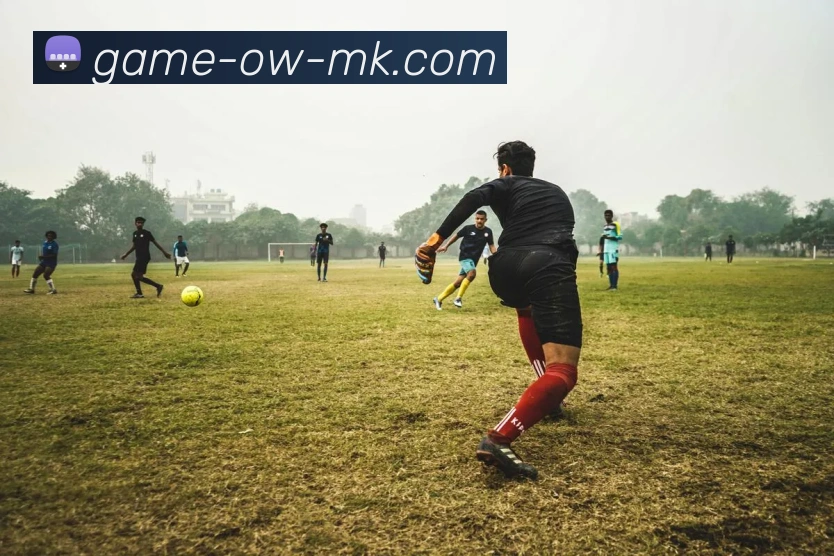 MK体育APP 封面图